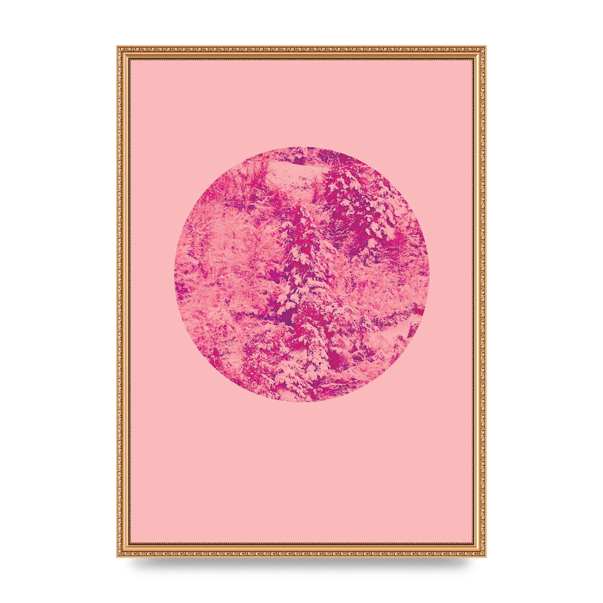 Pink Pattern Disc Art For The Home - A2 framed