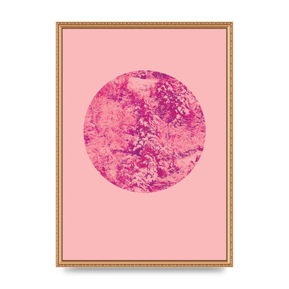 Pink Pattern Disc Art For The Home - A2 framed
