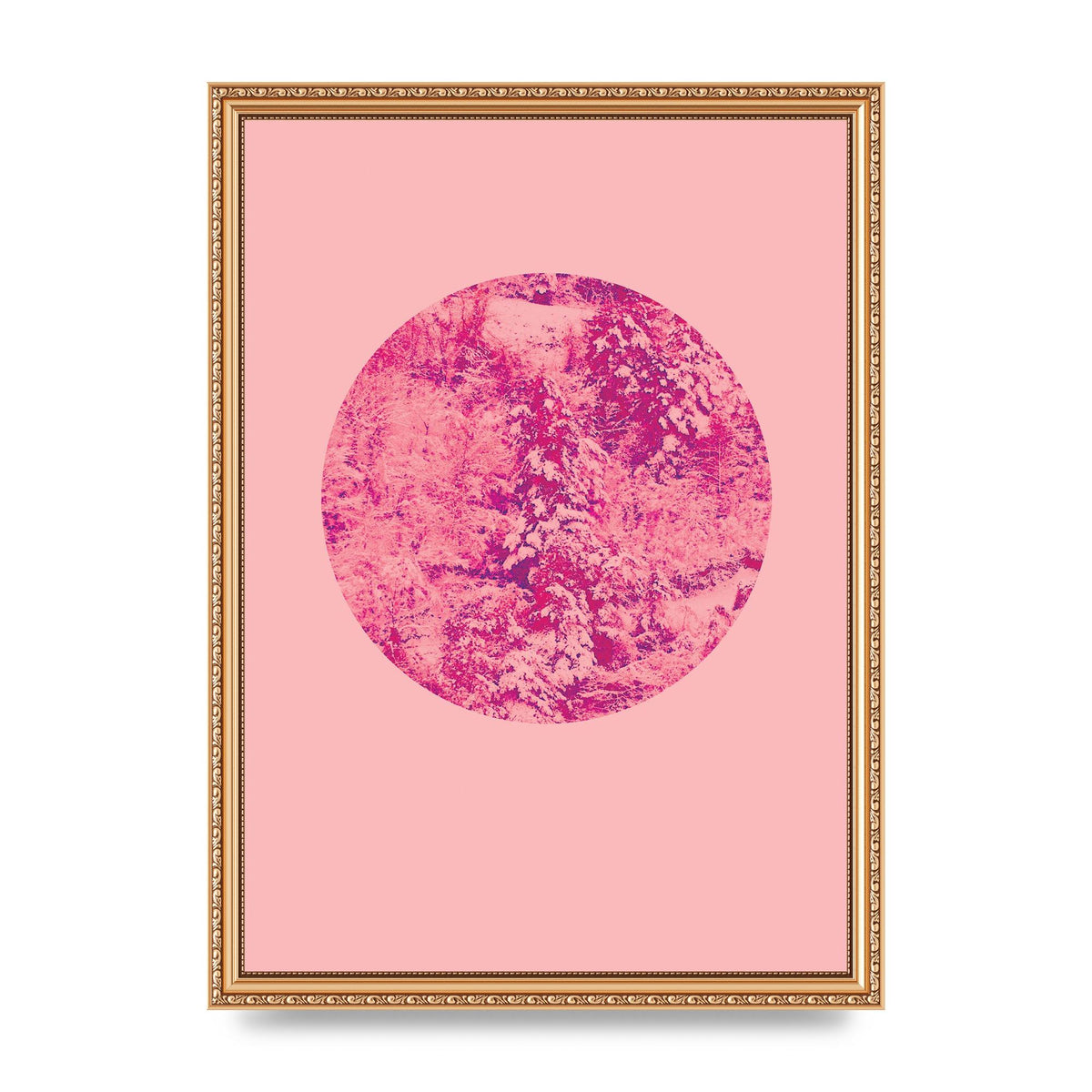 Pink Pattern Disc Art For The Home - A3 framed