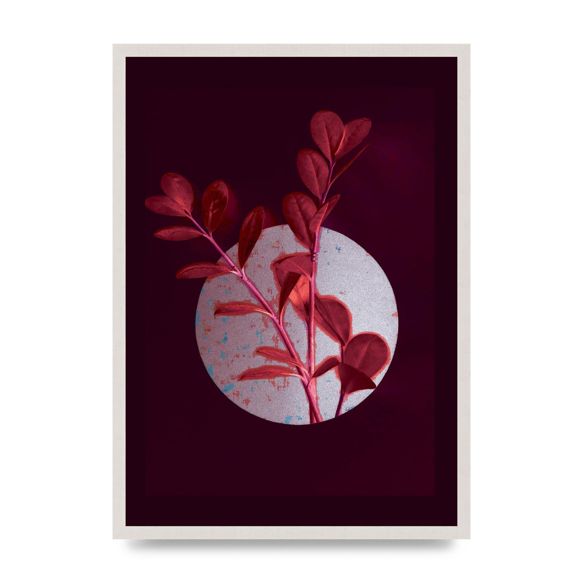 Dark Pink Red Flower Printed Poster - A2 framed