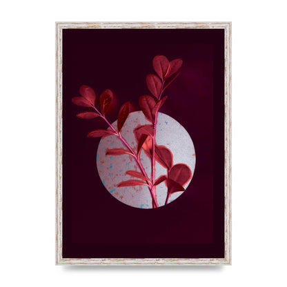 Dark Pink Red Flower Printed Poster - A2 framed