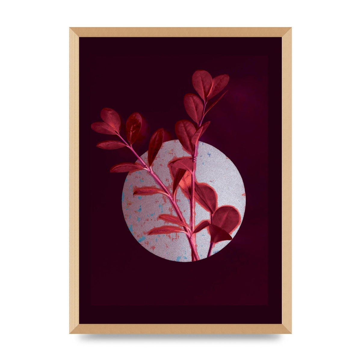 Dark Pink Red Flower Printed Poster - A2 framed