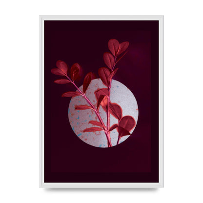 Dark Pink Red Flower Printed Poster - A2 framed