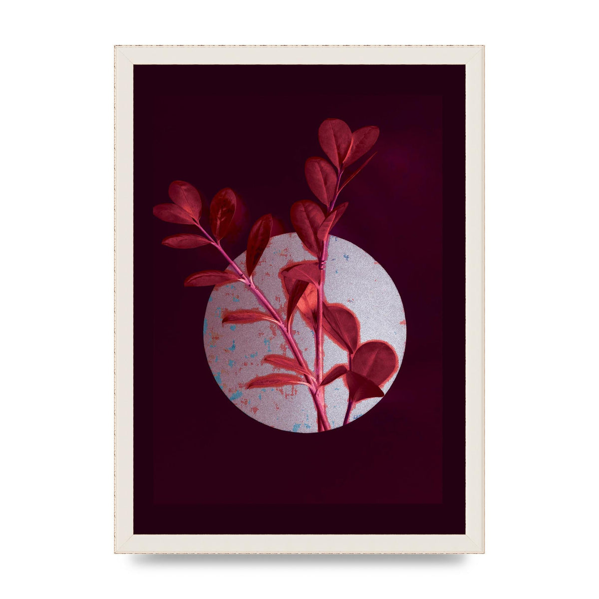 Dark Pink Red Flower Printed Poster - A3 framed