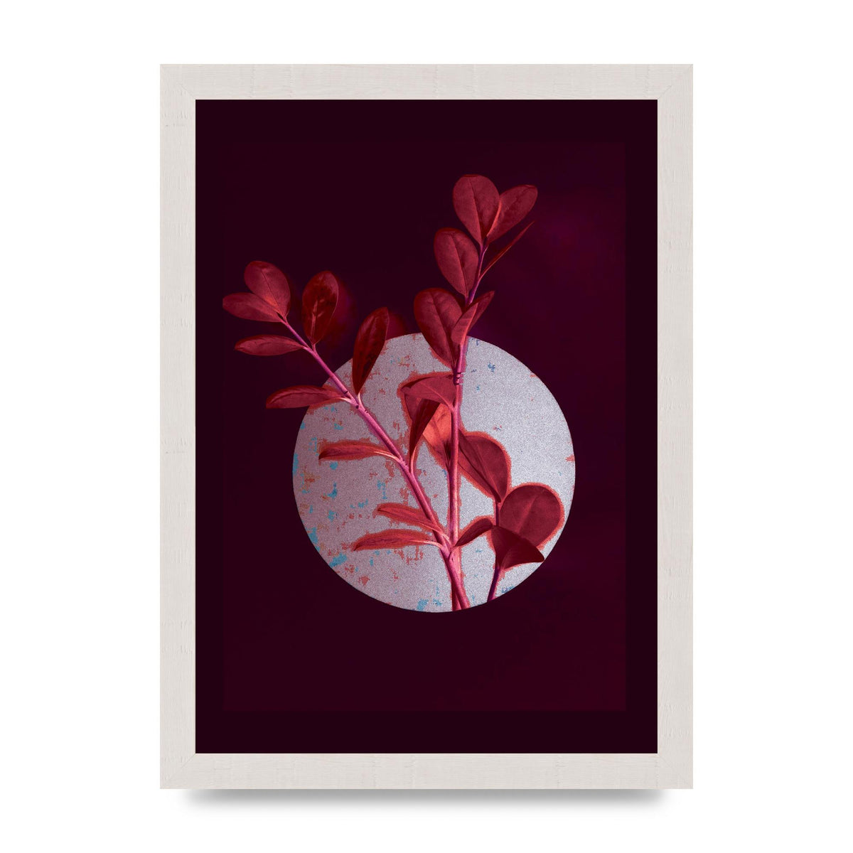 Dark Pink Red Flower Printed Poster - A4 framed