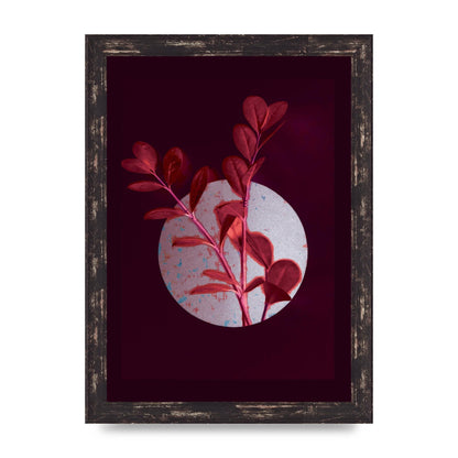 Dark Pink Red Flower Printed Poster - A4 framed