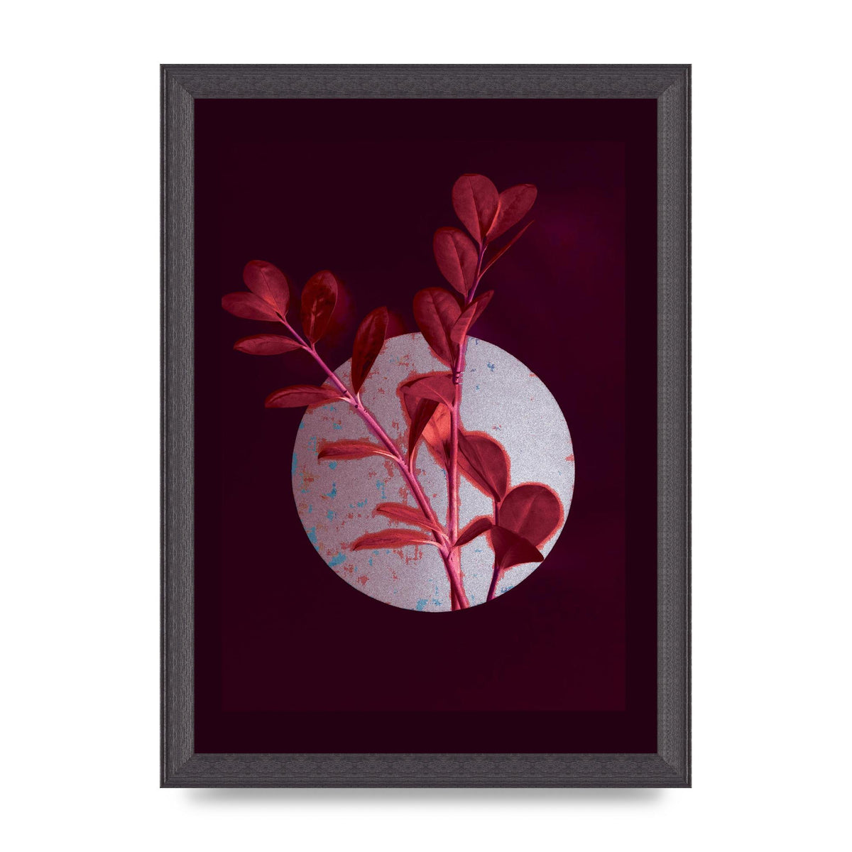 Dark Pink Red Flower Printed Poster - A4 framed