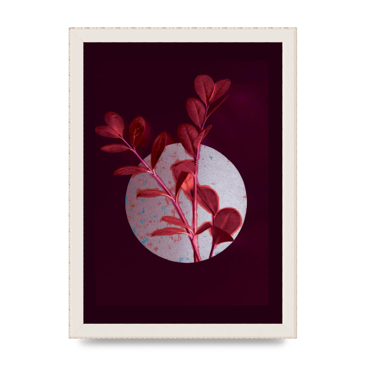 Dark Pink Red Flower Printed Poster - A4 framed
