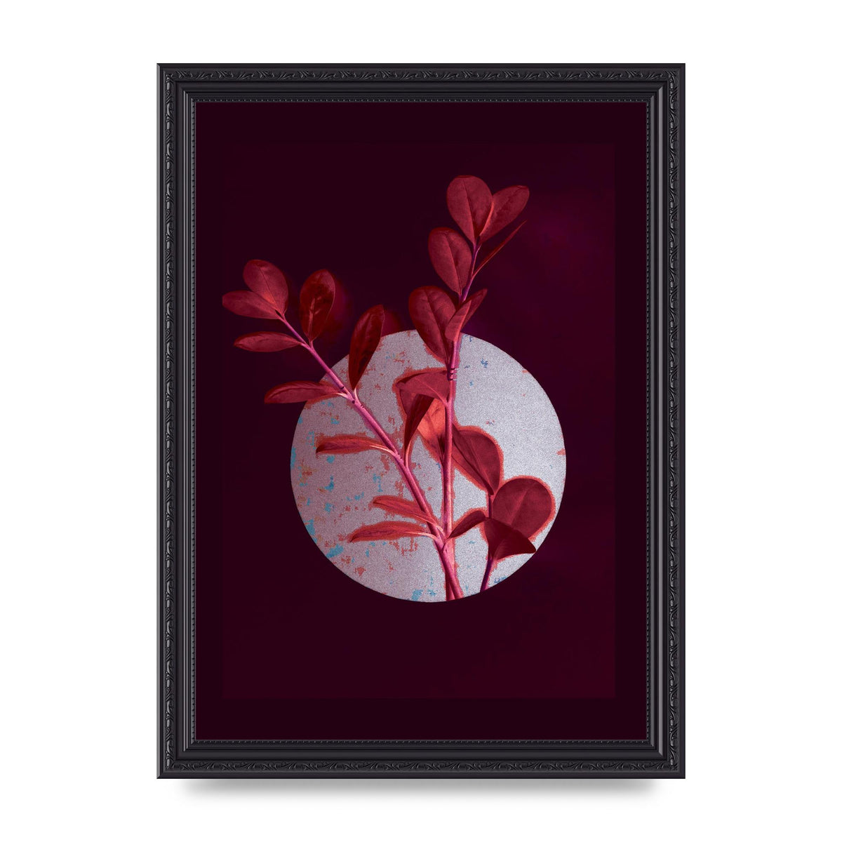 Dark Pink Red Flower Printed Poster - A4 framed
