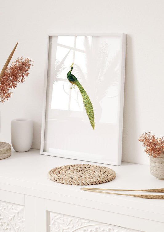 Vintage Peacock White Art For The Home - hall 1