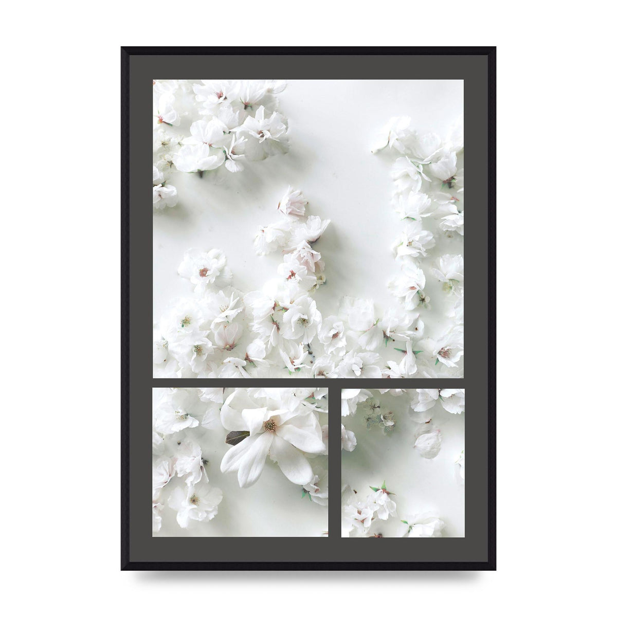 Grey Flower Wall Art - A2 framed