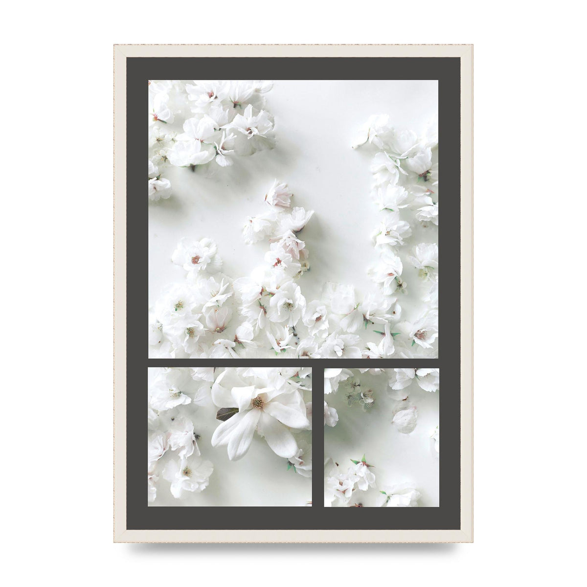 Grey Flower Wall Art - A2 framed
