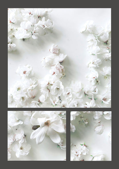 Grey Flower Wall Art - detail
