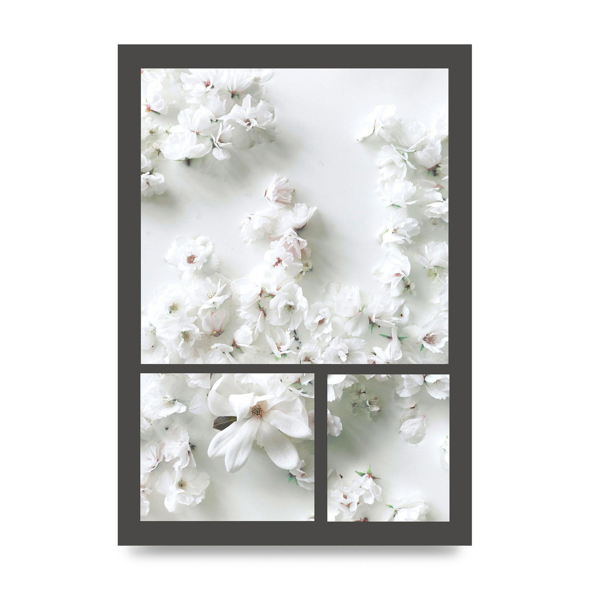 Grey Flower Wall Art - unframed print