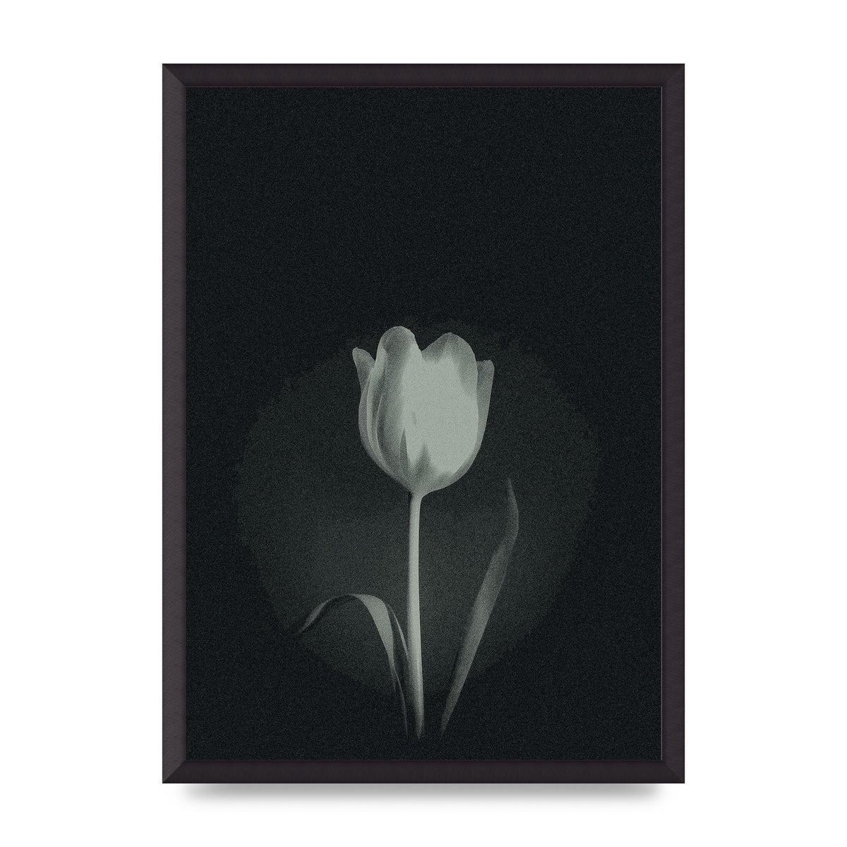Flower Grain Wall Art - A2 framed