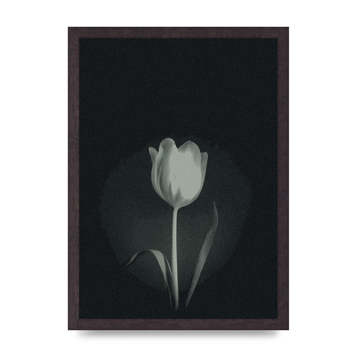 Flower Grain Wall Art - A3 framed