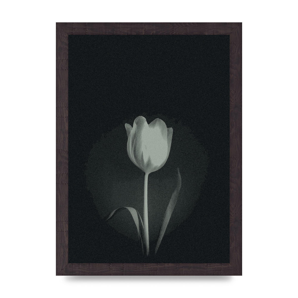 Flower Grain Wall Art - A4 framed