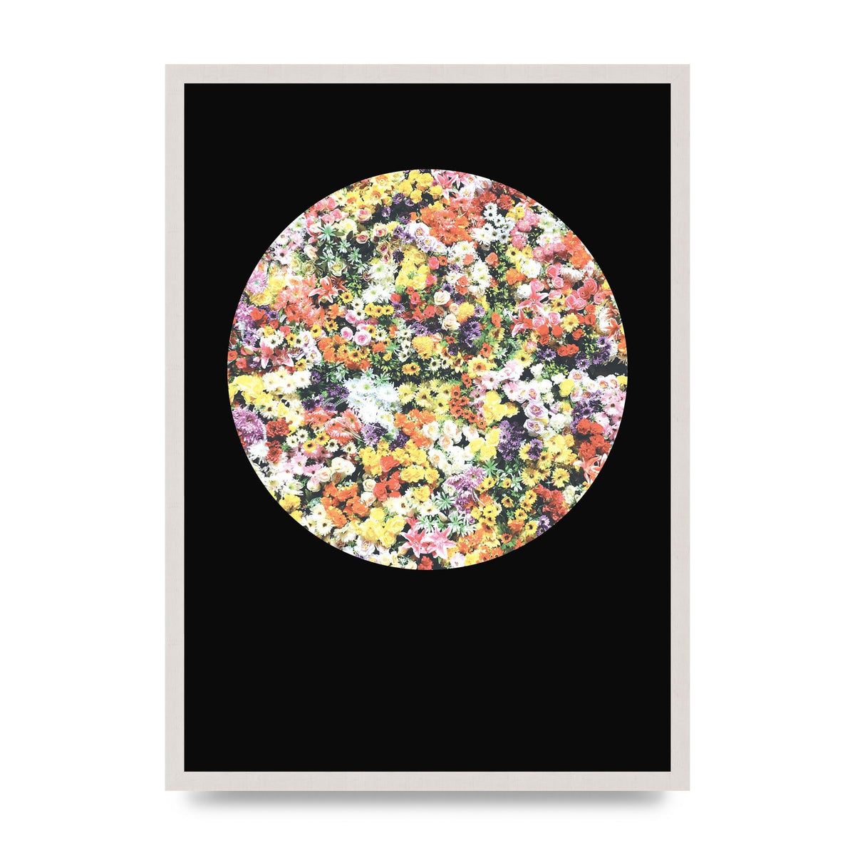 Flower Disc Black Printed Poster - A2 framed