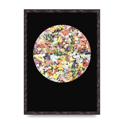 Flower Disc Black Printed Poster - A2 framed