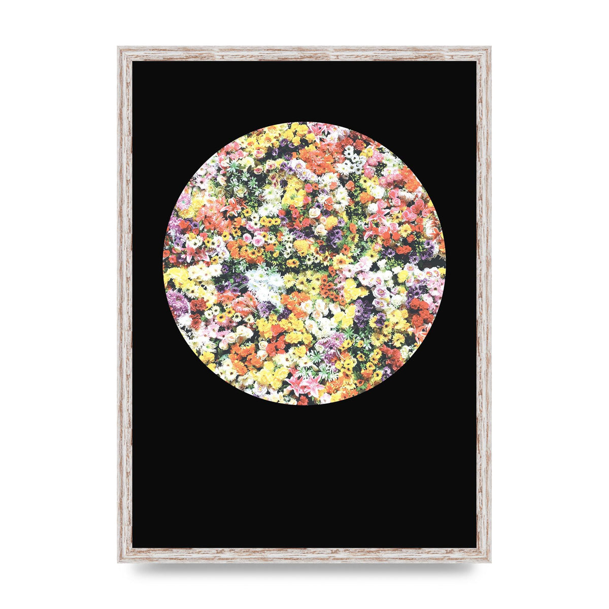 Flower Disc Black Printed Poster - A2 framed