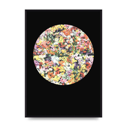 Flower Disc Black Printed Poster - A2 framed