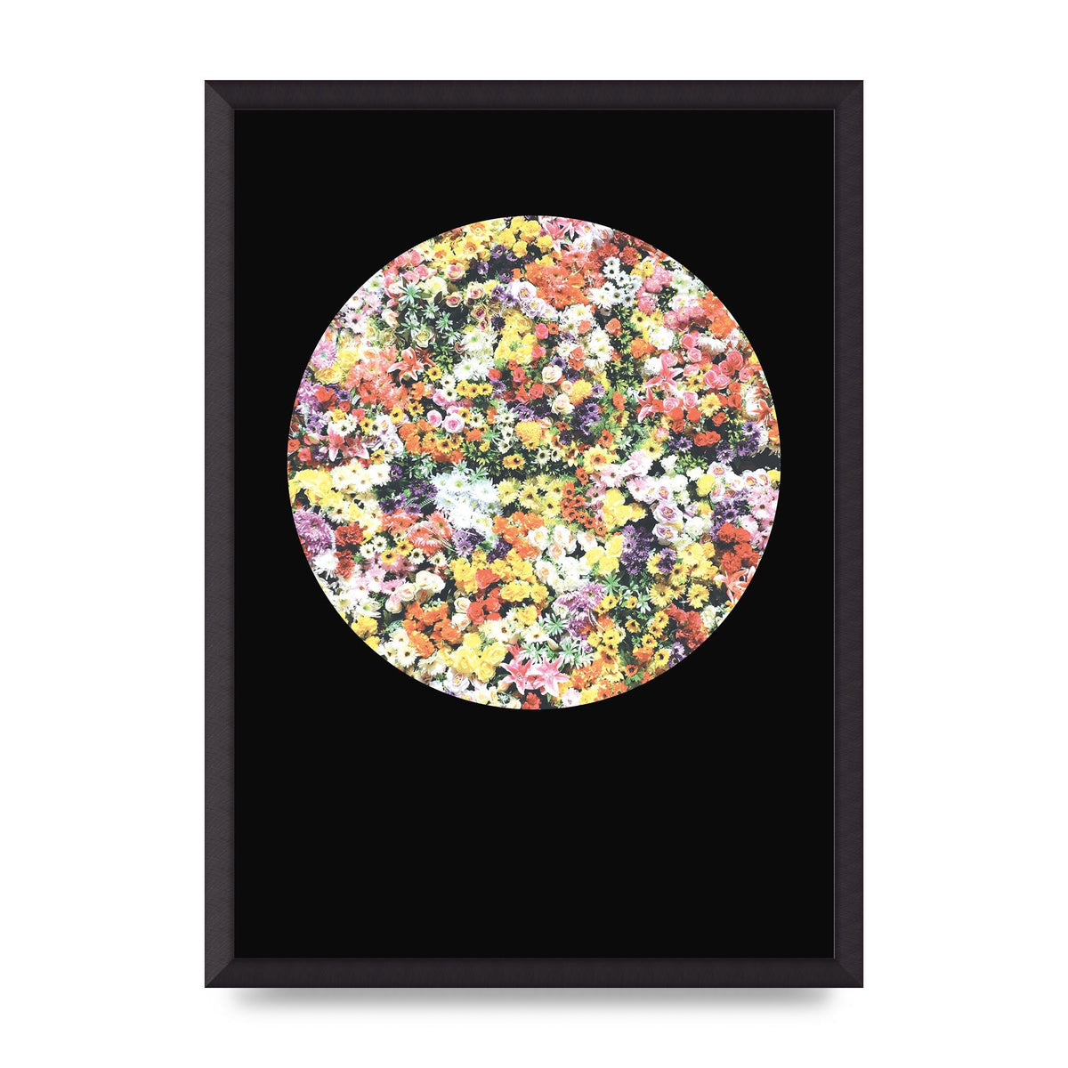Flower Disc Black Printed Poster - A2 framed