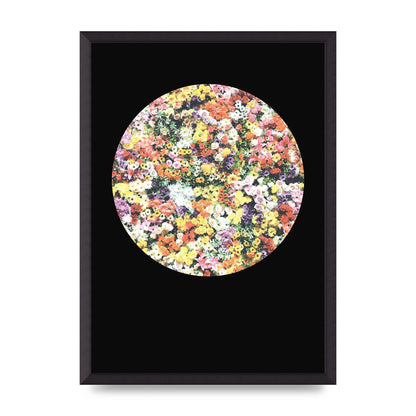 Flower Disc Black Printed Poster - A2 framed