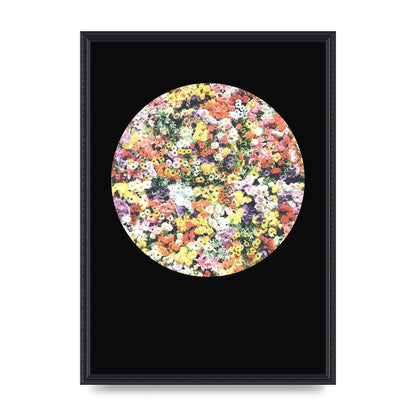 Flower Disc Black Printed Poster - A2 framed