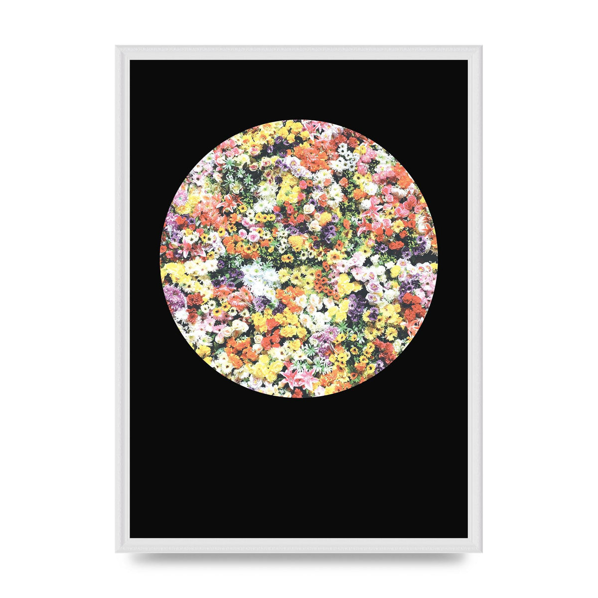 Flower Disc Black Printed Poster - A2 framed