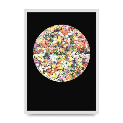 Flower Disc Black Printed Poster - A2 framed