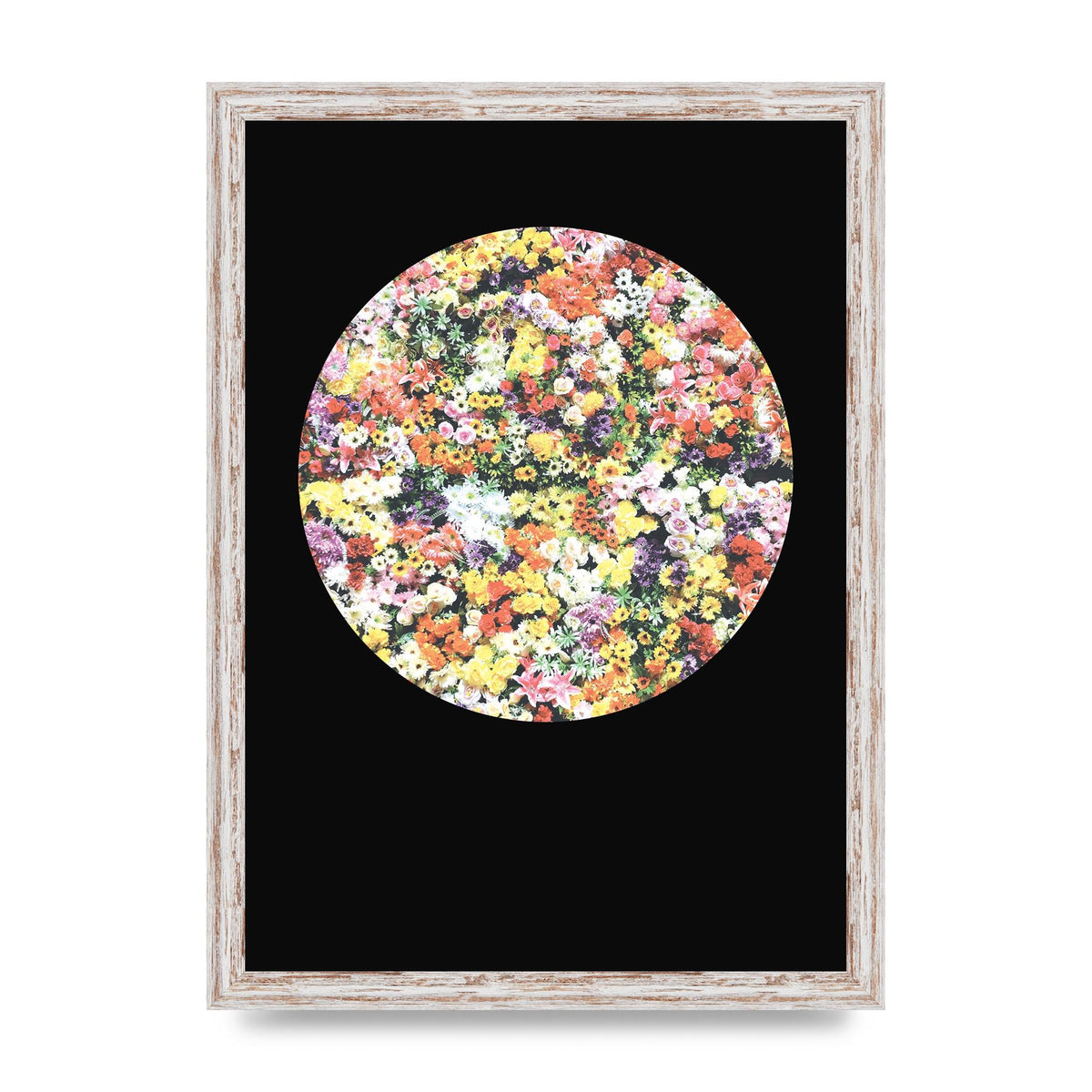 Flower Disc Black Printed Poster - A3 framed