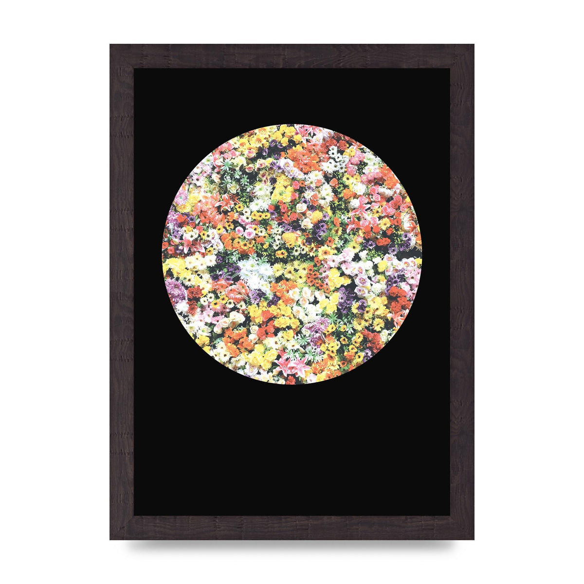 Flower Disc Black Printed Poster - A4 framed