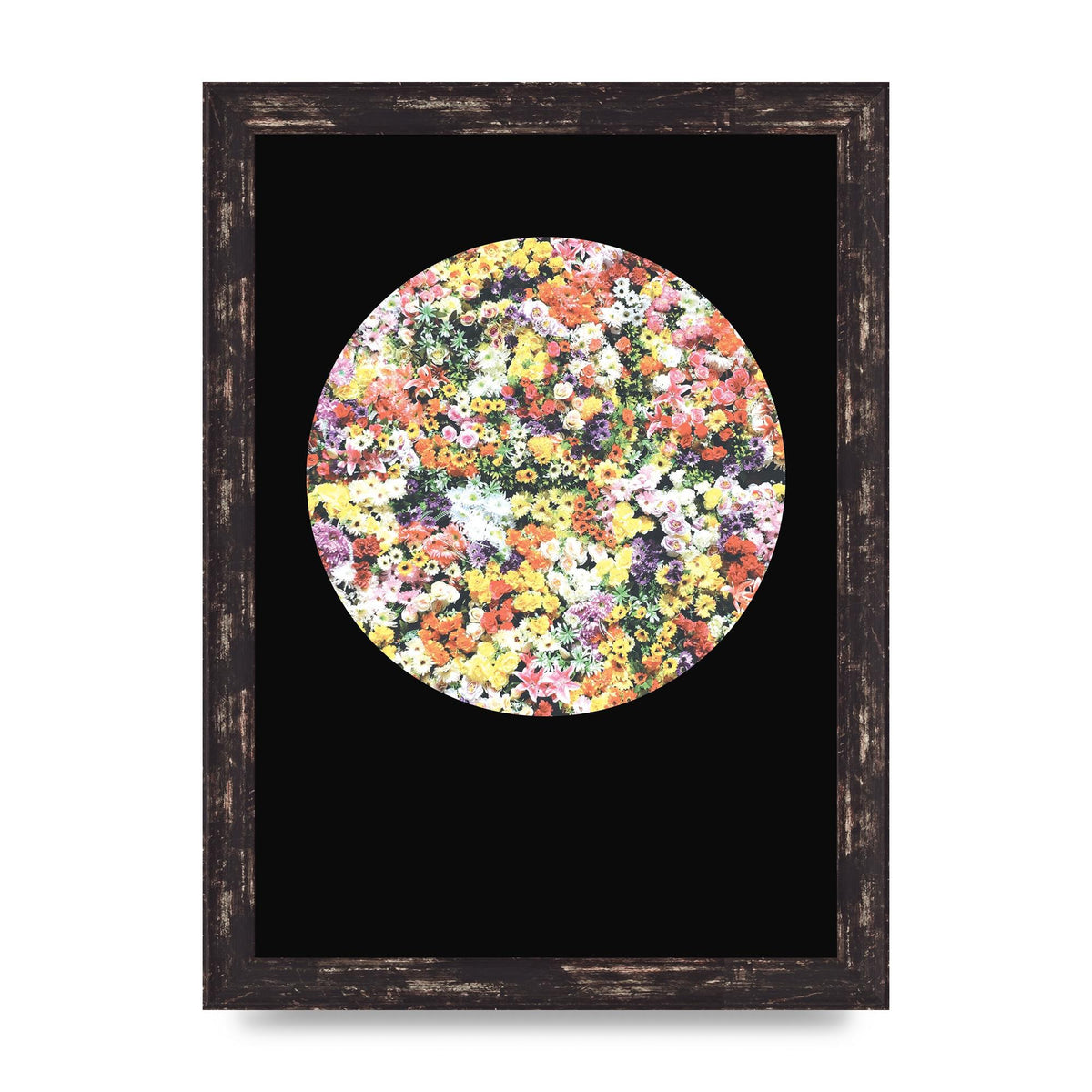 Flower Disc Black Printed Poster - A4 framed