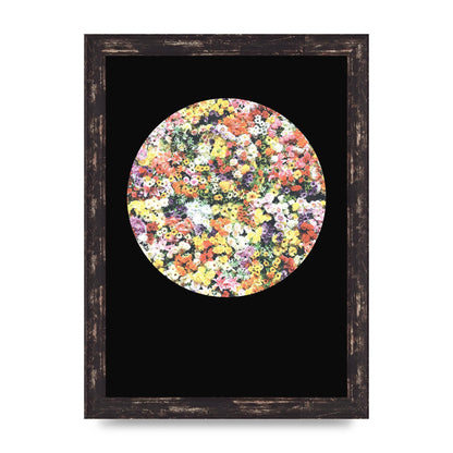 Flower Disc Black Printed Poster - A4 framed