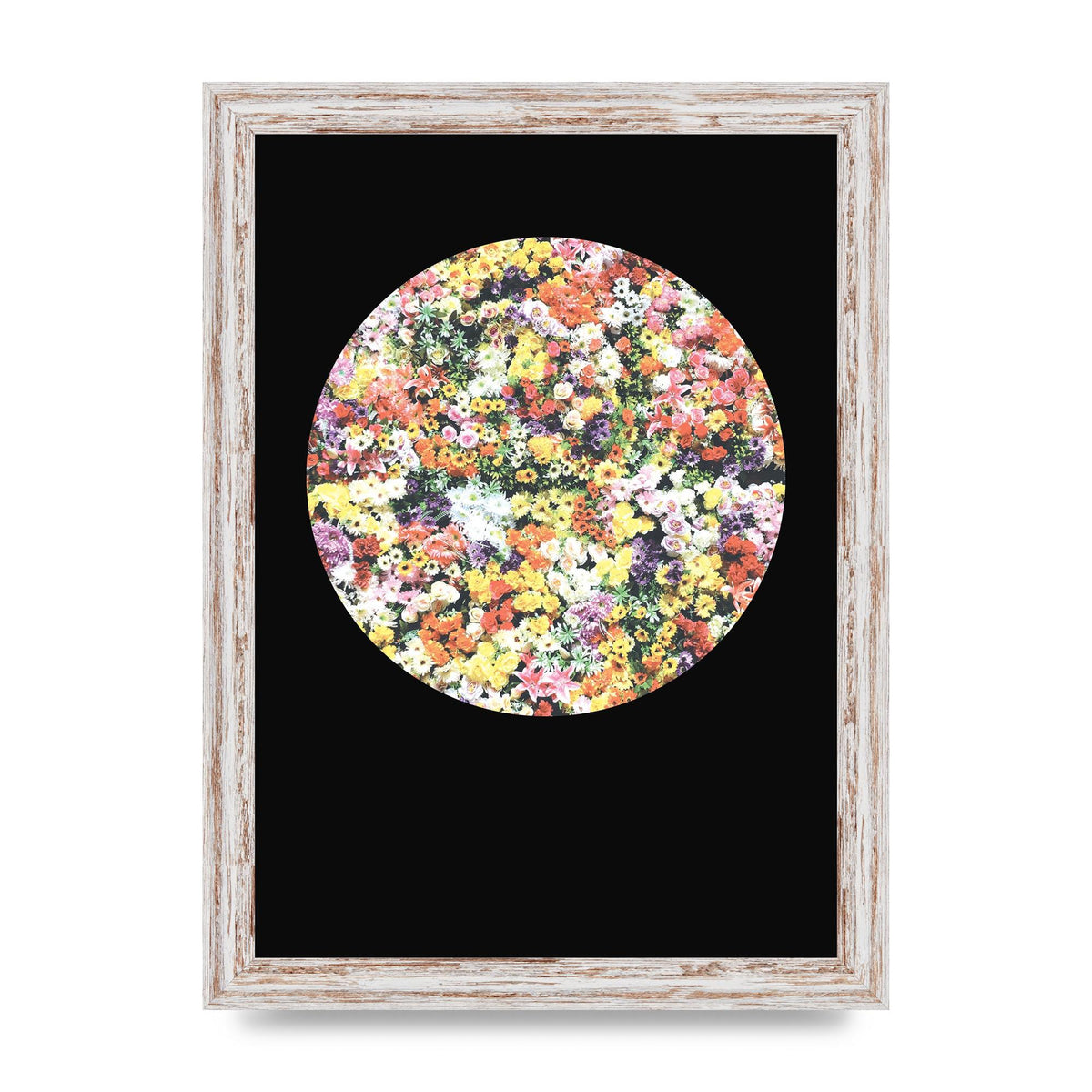 Flower Disc Black Printed Poster - A4 framed
