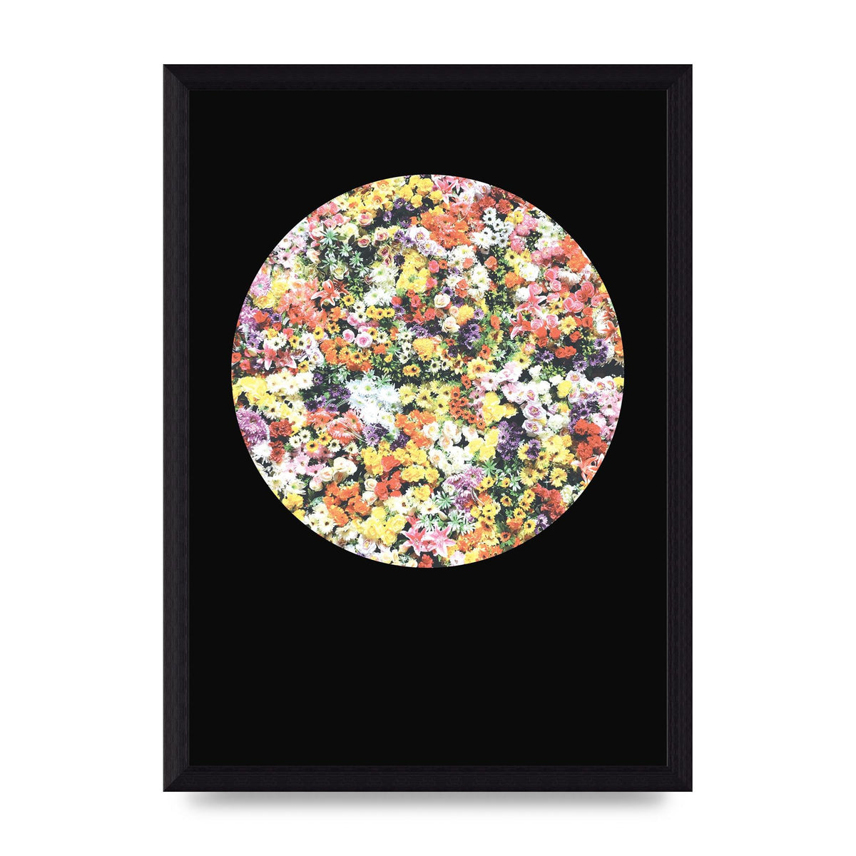 Flower Disc Black Printed Poster - A4 framed