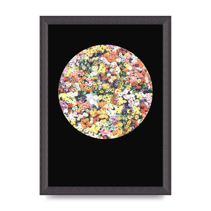 Flower Disc Black Printed Poster - A4 framed