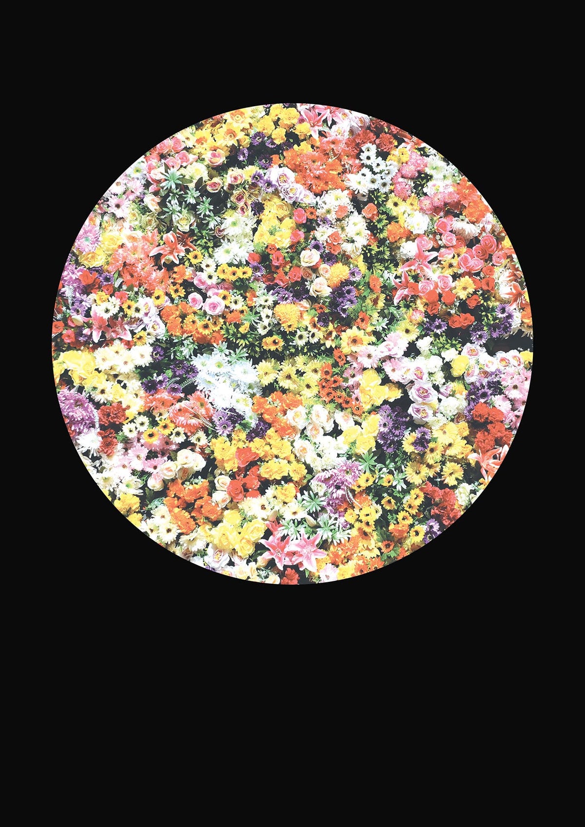 Flower Disc Black Printed Poster - detail