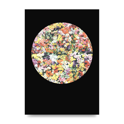 Flower Disc Black Printed Poster - unframed print