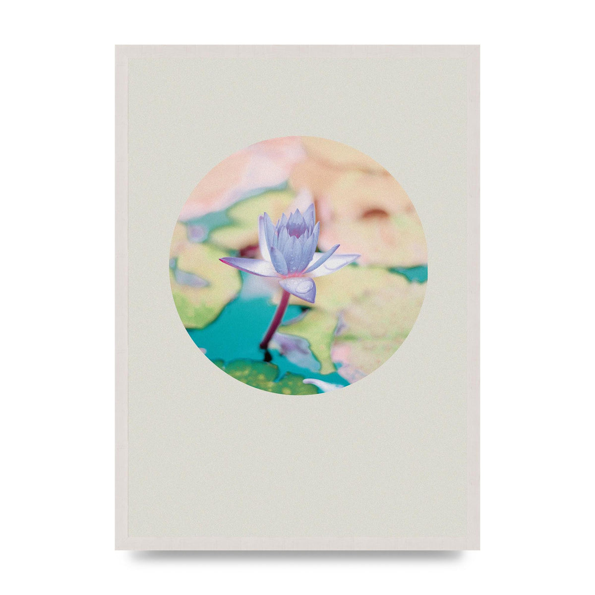 Pearl Colour Flower Disc Wall Art - A2 framed