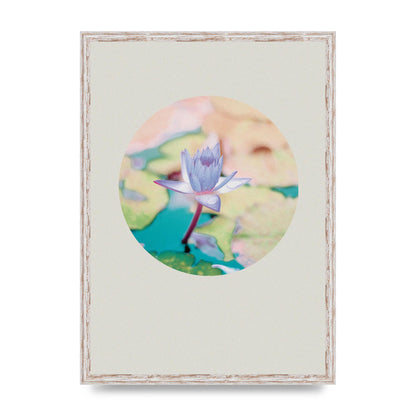 Pearl Colour Flower Disc Wall Art - A2 framed