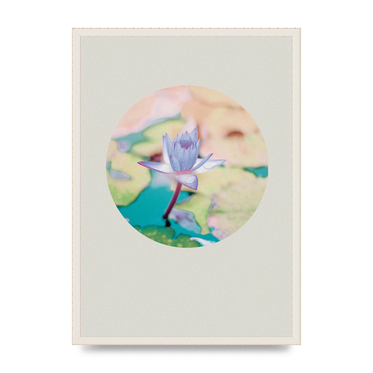 Pearl Colour Flower Disc Wall Art - A2 framed