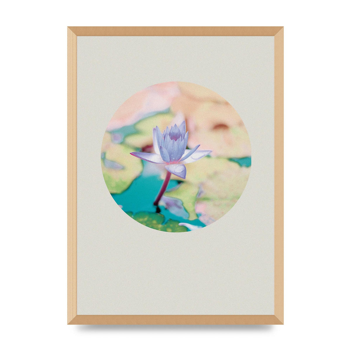 Pearl Colour Flower Disc Wall Art - A2 framed