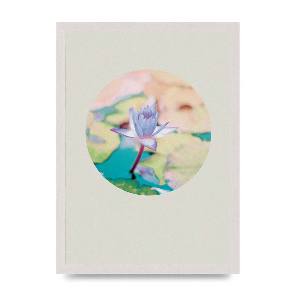 Pearl Colour Flower Disc Wall Art - A3 framed