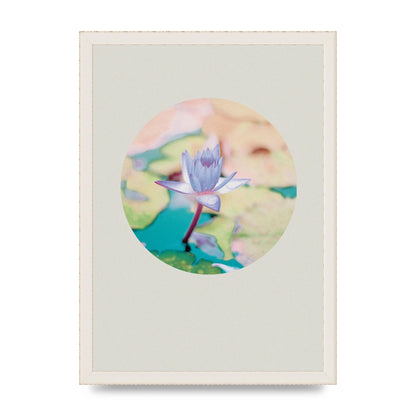 Pearl Colour Flower Disc Wall Art - A3 framed