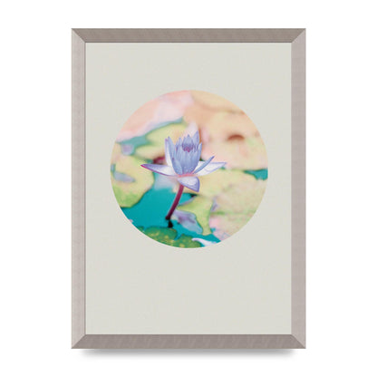 Pearl Colour Flower Disc Wall Art - A3 framed