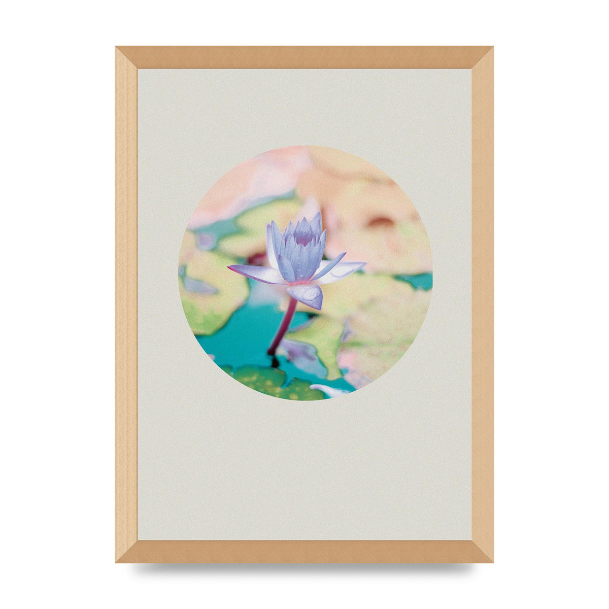 Pearl Colour Flower Disc Wall Art - A3 framed