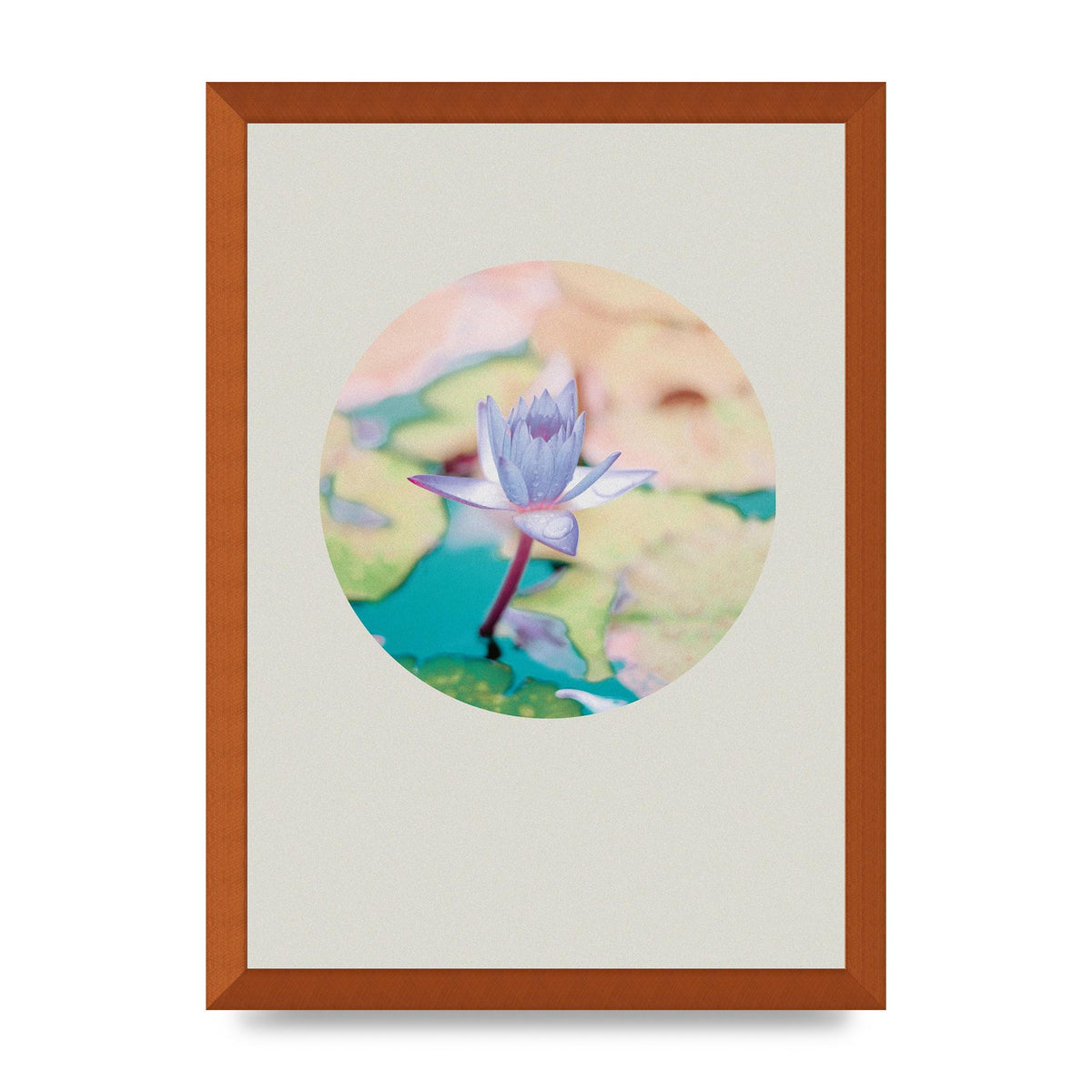 Pearl Colour Flower Disc Wall Art - A3 framed