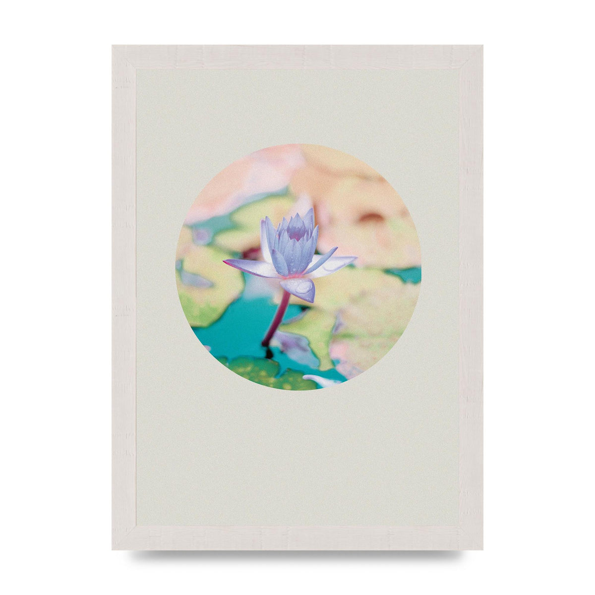 Pearl Colour Flower Disc Wall Art - A4 framed