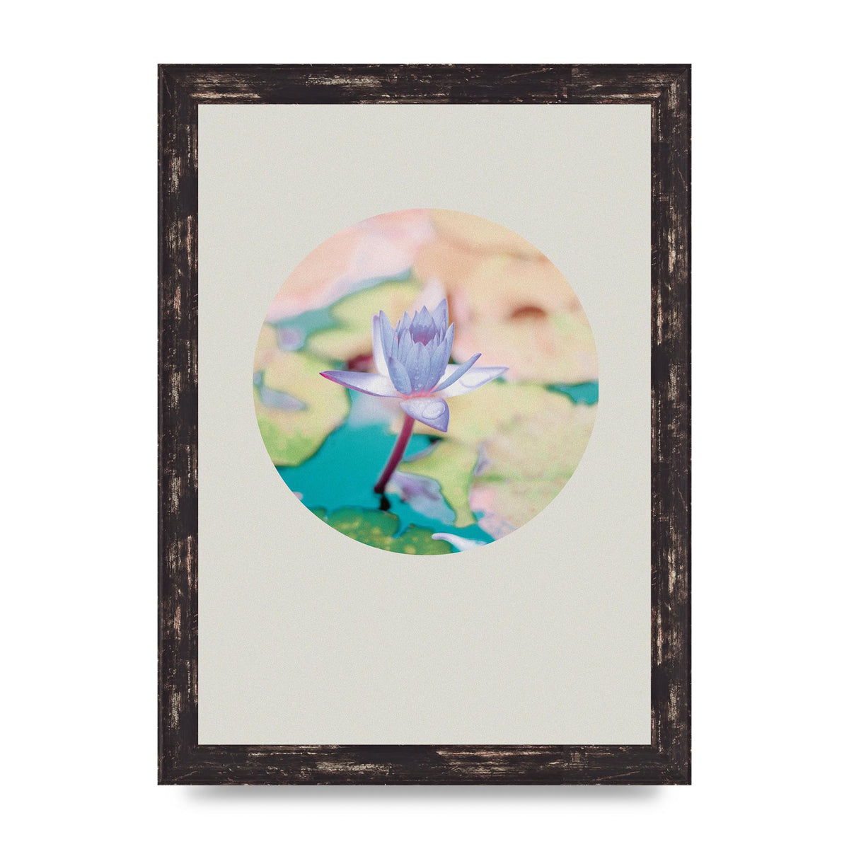 Pearl Colour Flower Disc Wall Art - A4 framed